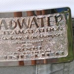 awardsBuckle_Badwater