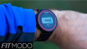 Product Review: Top Watches for Endurance Athletes