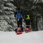 These sleds weigh a LOT (40 lbs or more)